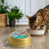 Care Diet Humide URINARY – Poulet