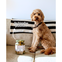 Friandises lyophilisées au foie de canard pour chien et chat | Natural Breed