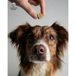 Friandises lyophilisées poulet, épinard et carotte chien & chat | Natural Breed