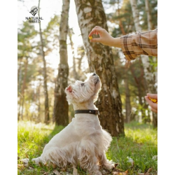 Freeze-dried treats - cheese