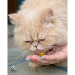 Freeze-dried treats - Egg yolk - Dog&Cat