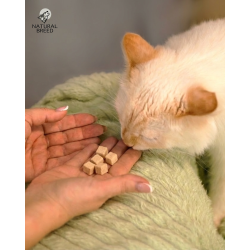 Friandises lyophilisées au saumon pour chien et chat | Natural Breed