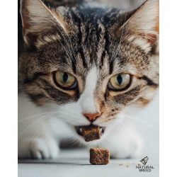 Friandises lyophilisées au foie de poulet pour chien et chat | Natural Breed