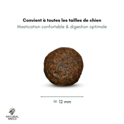 Croquettes chien dinde sans céréales pauvre en glucides | Fresh Diet Fruity
