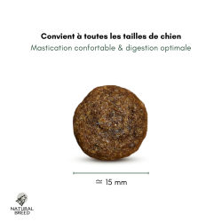 Supreme Diet Fruity Poulet – Croquettes chien premium équilibrées | Natural Breed