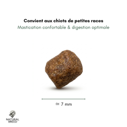 Wild Diet Fruity Puppy Mini