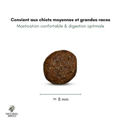 Wild Diet Fruity Puppy Large