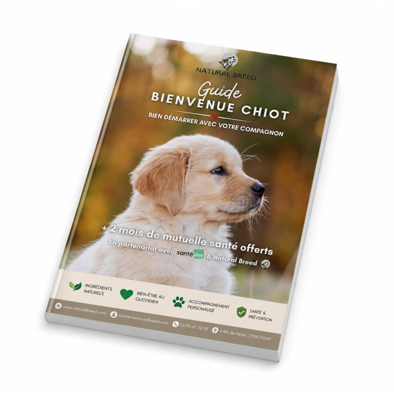 Guide de bienvenue chiot: Conseils, bien-être & 2 mois de mutuelle offerts