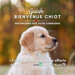 Guide de bienvenue chiot: Conseils, bien-être & 2 mois de mutuelle offerts