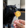 Sucettes lyophilisées pour chien et chat – Friandises naturelles Lollipop