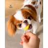 Freeze-Dried Lollipop