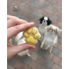 Freeze-dried cookie