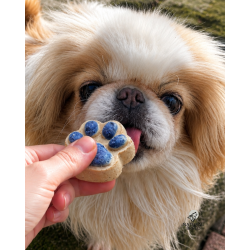 Cookies lyophilisés pour chien et chat – Friandises naturelles en forme de pattes