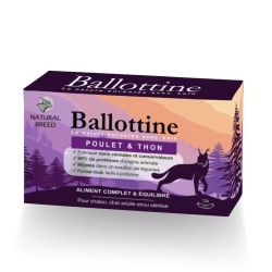 copy of copy of copy of copy of Ballottine chat - DINDE