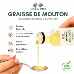 Graisse de Mouton pour Chien | Appétence & Énergie