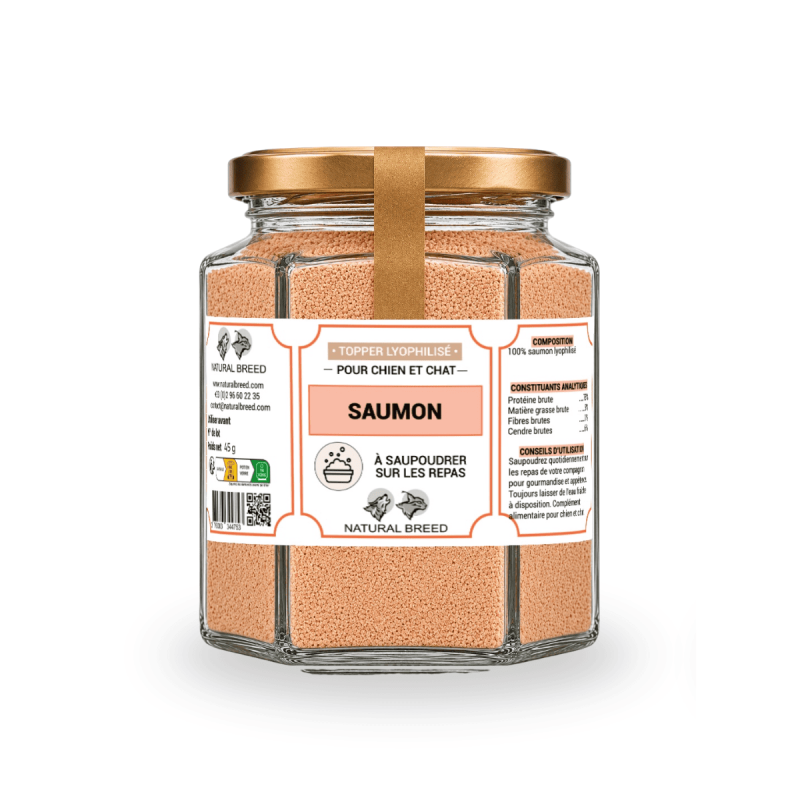 Freeze-dried topper - Salmon - Dog&Cat