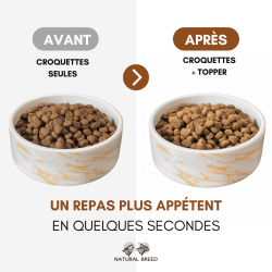 Freeze-dried topper - Salmon - Dog&Cat