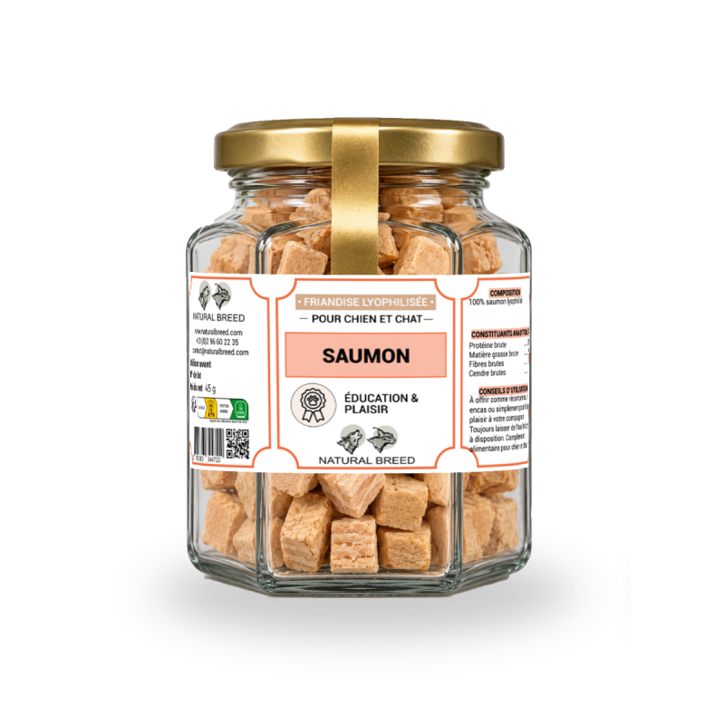 Freeze-dried treats - Salmon - Dog&Cat