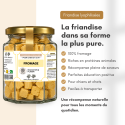Freeze-dried treats - cheese