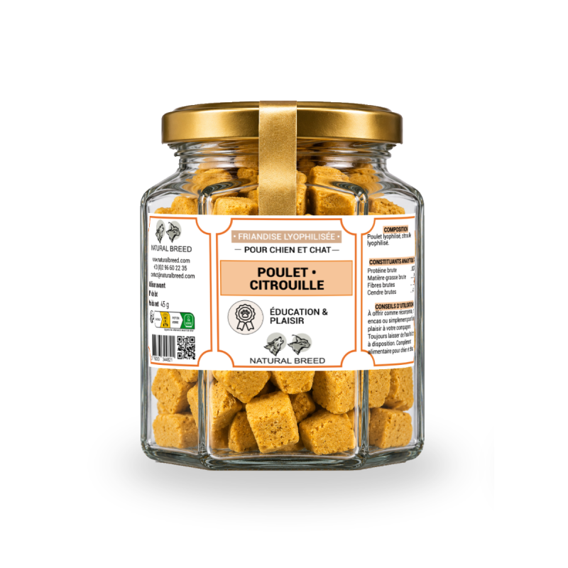 Friandises lyophilisées au poulet et à la citrouille pour chien et chat | Natural Breed