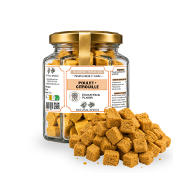 Friandises lyophilisées au poulet et à la citrouille pour chien et chat | Natural Breed