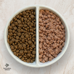Pack Bi-Nutrition spécial SOUTIEN RENAL - Croquettes Care Diet Fruity Renal Protect 6kg + Care Diet Humide Renal Protect x48