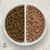 Pack bi-nutrition soutien rénal – Croquettes & alimentation humide chat