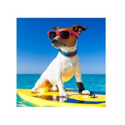 Ear Magic II for dogs - EZ GROOM