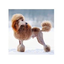 Ulta Rich Leave in Conditioner - EZ GROOM