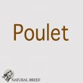 Poulet