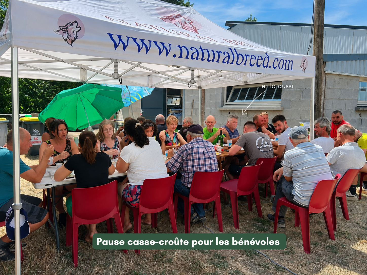 Moment de convivialité entre les bénévoles sous le chapiteau Natural Breed