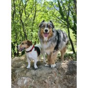 Ruby et Nollie
