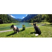 Les beautés des Alpes